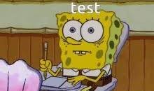 test pro